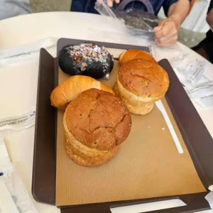 느티나무의사랑 사진