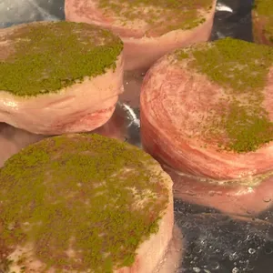 상록수 사진