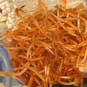 상록수 사진