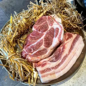 고이정 사진