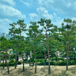 예코타 리뷰 사진