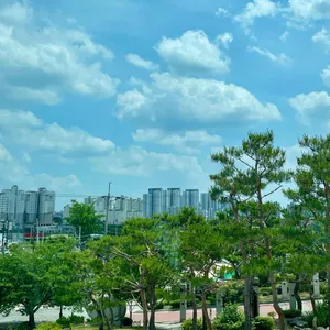 예코타 리뷰 사진
