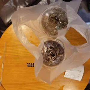 메가MGC커피 사진