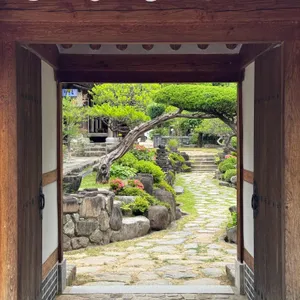 꽃피는춘삼월 리뷰 사진