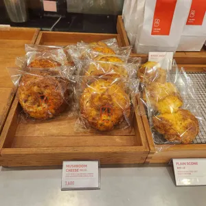 포비 사진