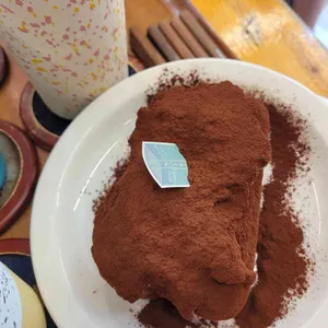 노트르 사진