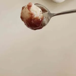콘드 사진