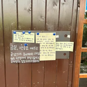 트루와지엠 리뷰 사진