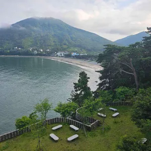모이핀 리뷰 사진