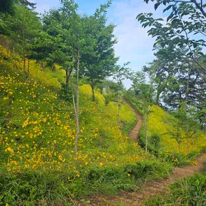 모이핀 리뷰 사진