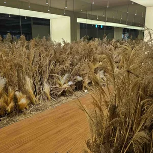 모이핀 리뷰 사진