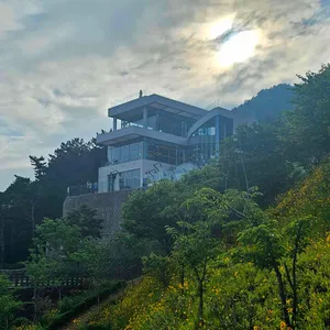 모이핀 리뷰 사진