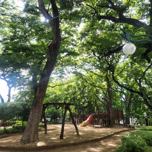 포구나무집 리뷰 사진