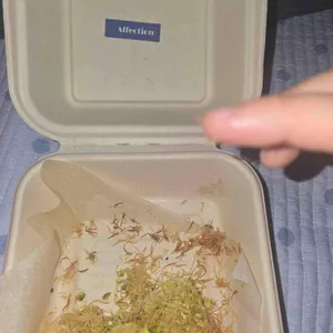 어펙션 사진