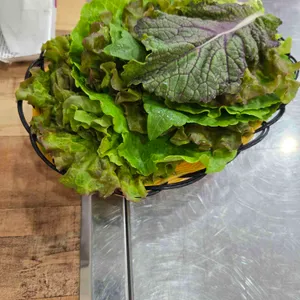 폴라리스 사진