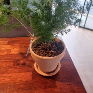 카페 에끌 사진