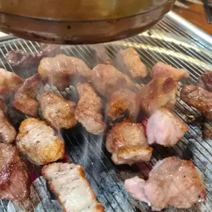 비가우돈 사진