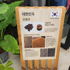 나무사이로커피 리뷰 사진