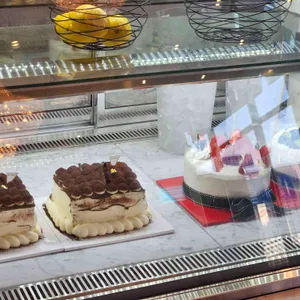 아르보르 리뷰 사진