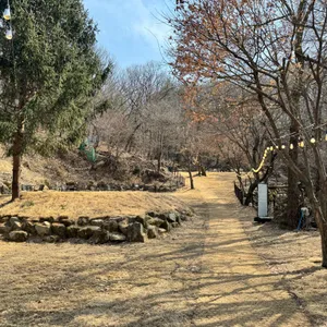 팔숲 리뷰 사진