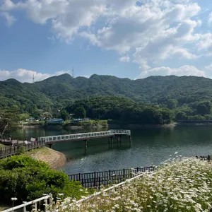 브루다 리뷰 사진