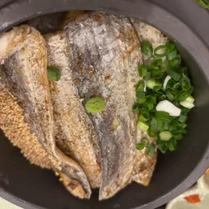 솔솥 사진