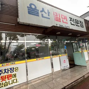 울산밀면전문점 리뷰 사진