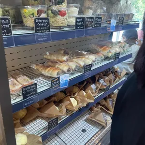 아오이토리 사진