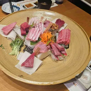 본참치 사진