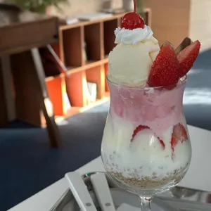 애몽 사진