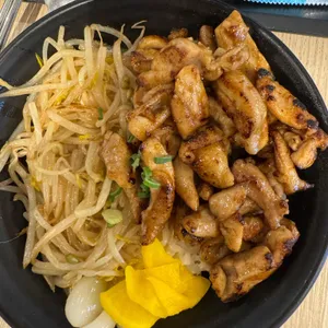 홍대개미 사진