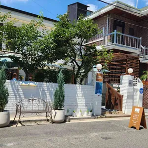 카토 리뷰 사진