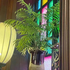 커피한약방 리뷰 사진
