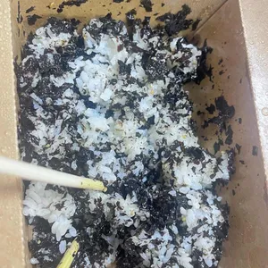 동대문엽기떡볶이 리뷰 사진