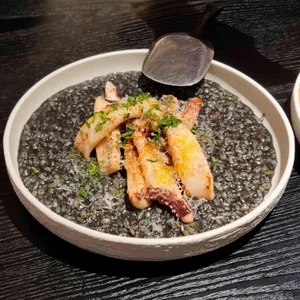 바리에가타 사진