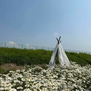 유기농카페 리뷰 사진