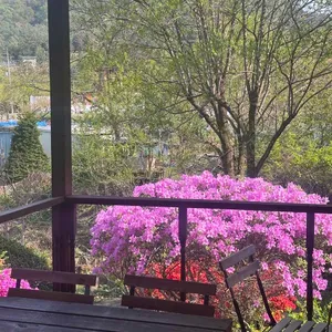 대룡산장 리뷰 사진