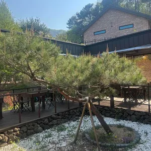 대룡산장 리뷰 사진