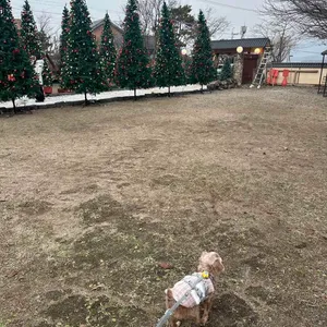 대룡산장 리뷰 사진