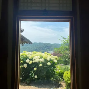 서유숙카페 리뷰 사진