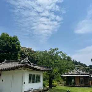 서유숙카페 리뷰 사진