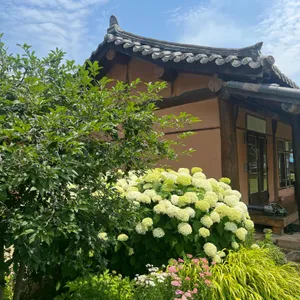 서유숙카페 리뷰 사진