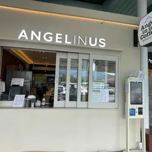 엔제리너스 리뷰 사진