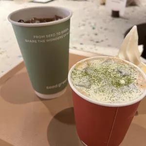 씨드그린 사진