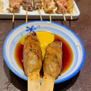 로바타시중 사진