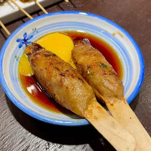 로바타시중 사진
