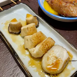 로바타시중 사진
