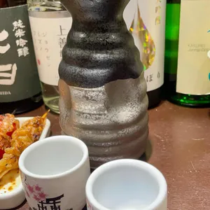 로바타시중 사진