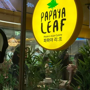 파파야리프 리뷰 사진
