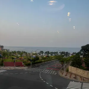 올리앤 리뷰 사진